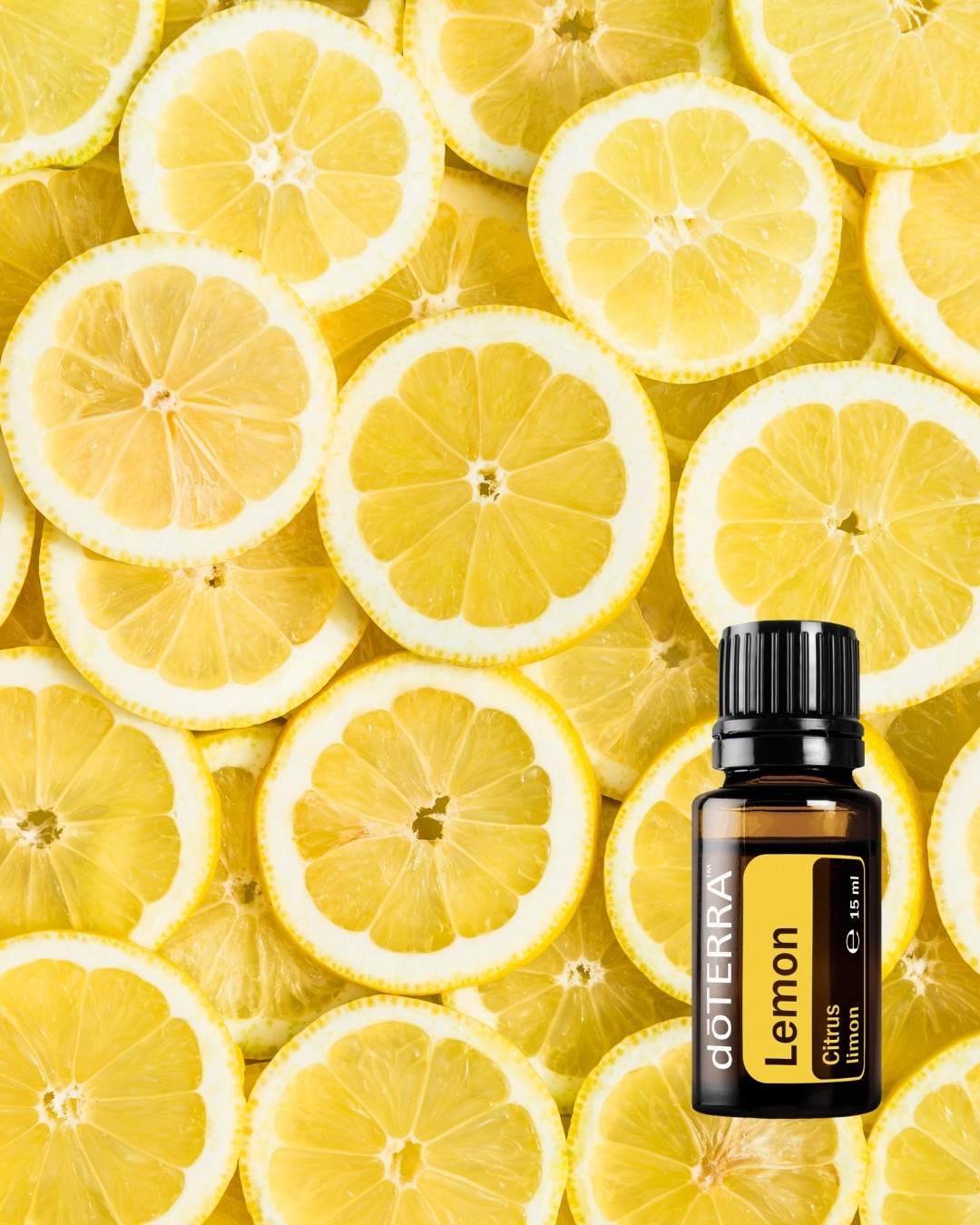 elavie stellt vor: ätherisches Öl LEMON (Zitrone)