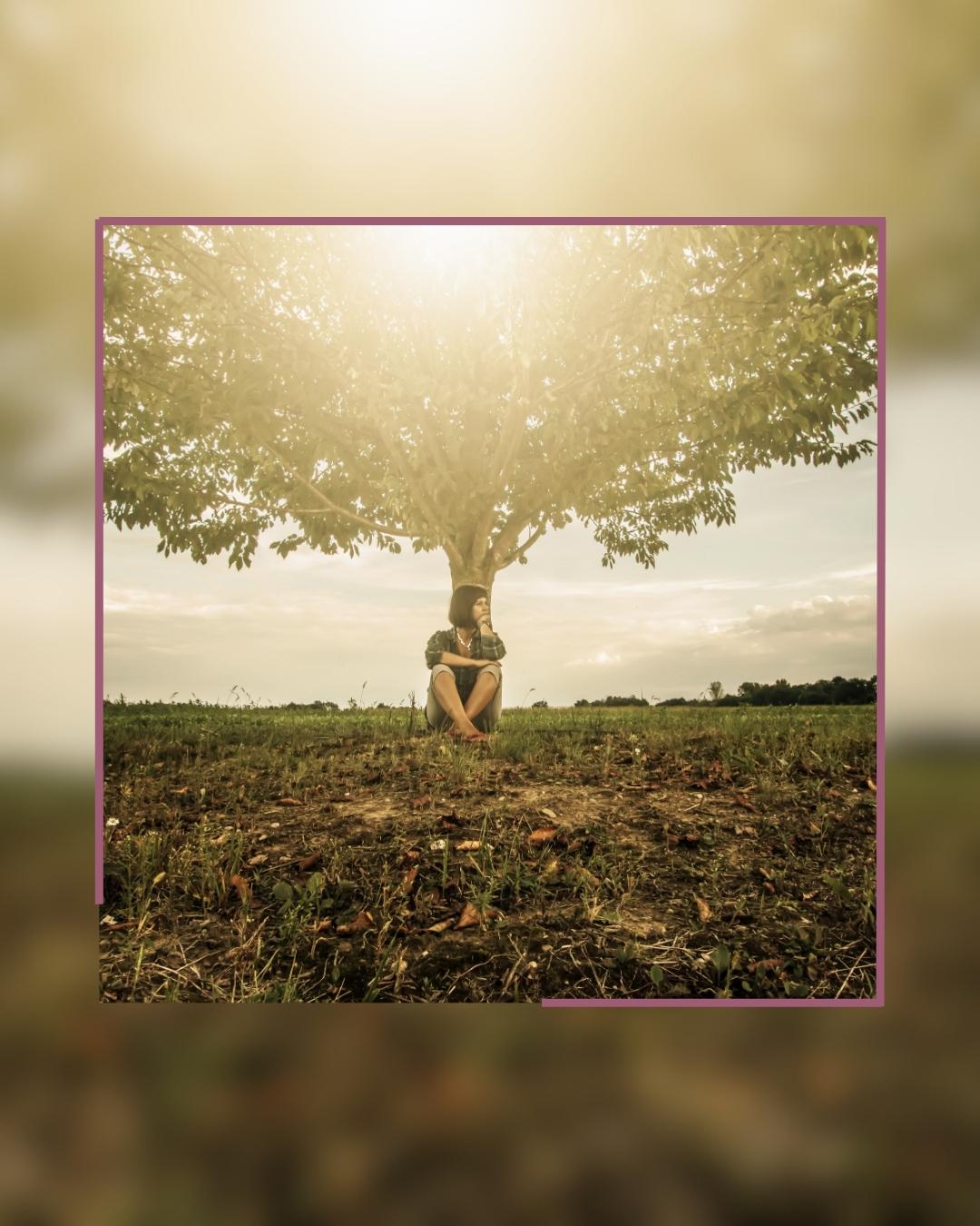 Angebote | elavie SOUL