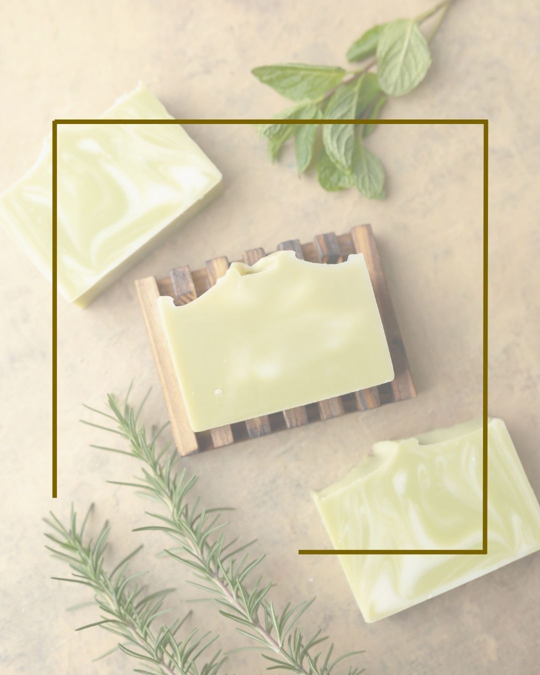 ROTAU Organic | Selection