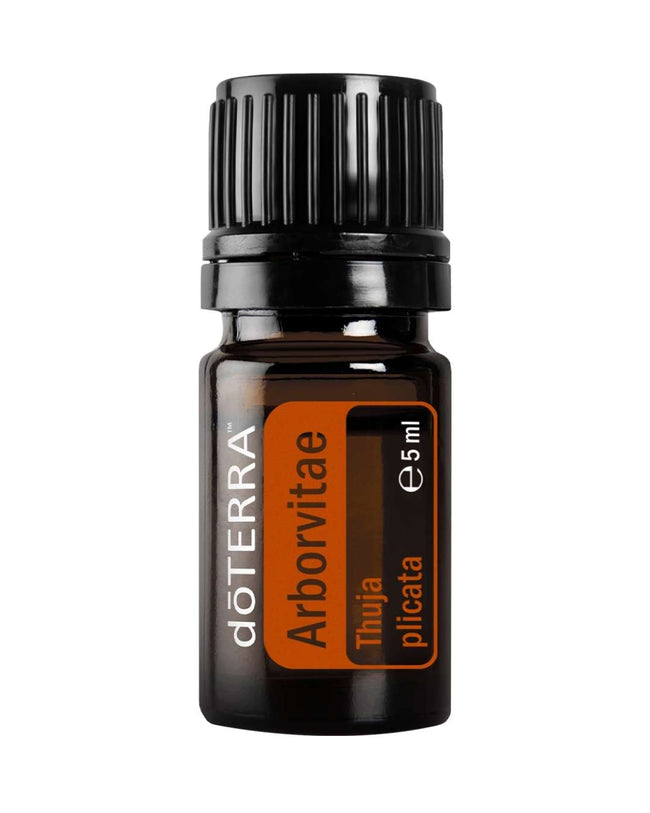 Arborvitae - Lebensbaum | ätherisches Öl (doTERRA) Main Image