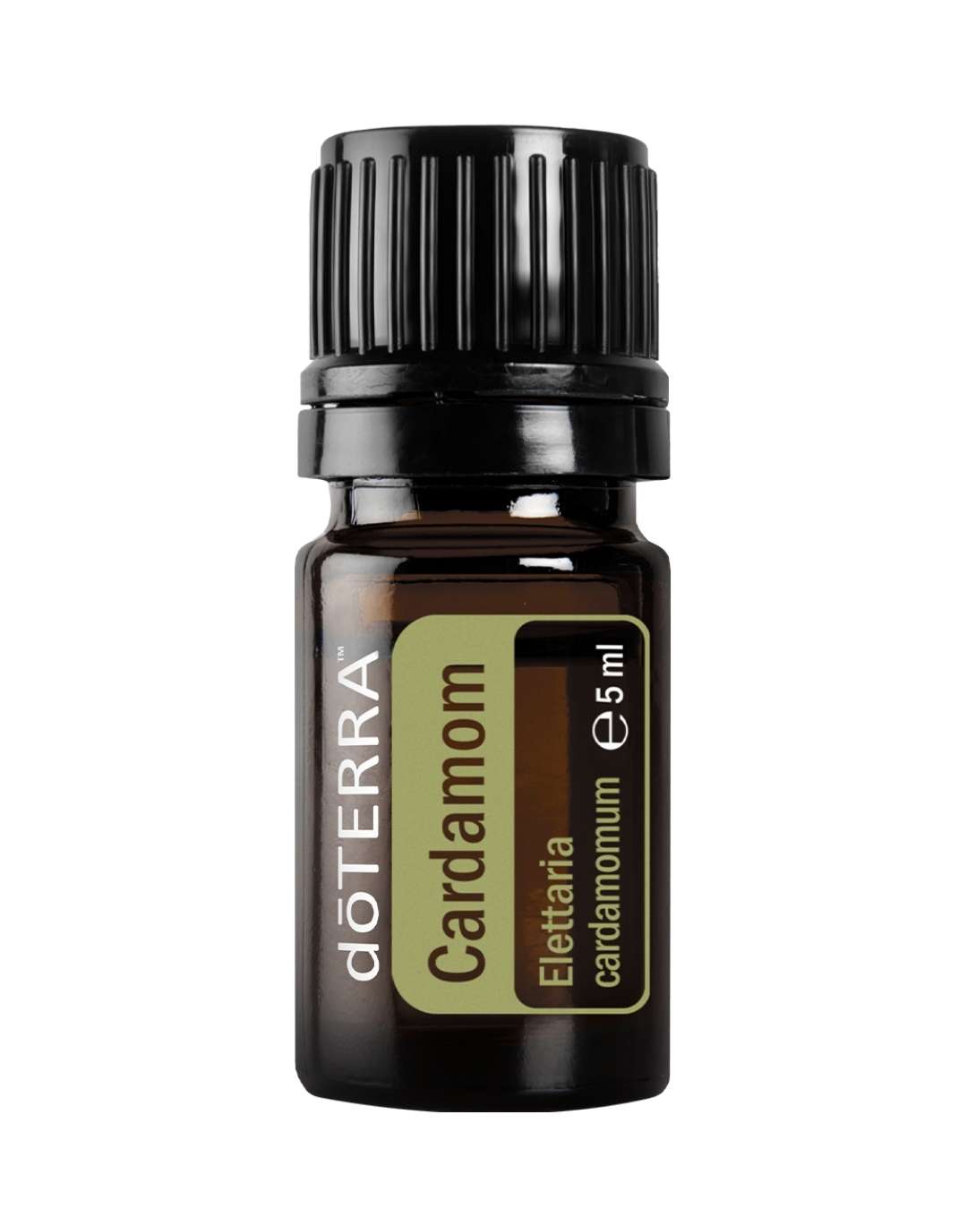 Cardamom - Kardamon | ätherisches Öl (doTERRA)