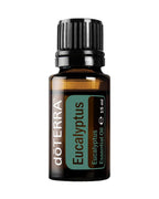 Eucalyptus | ätherisches Öl (doTERRA)