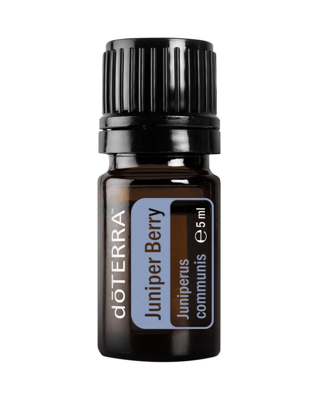Juniper Berry - Wacholderbeere | ätherisches Öl (doTERRA) Main Image