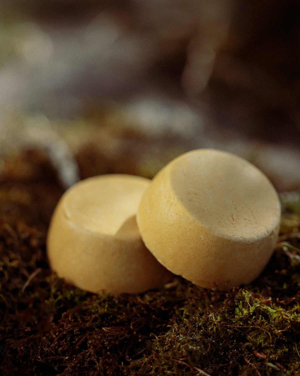 Mango & Phytokeratin Shampoo Bar