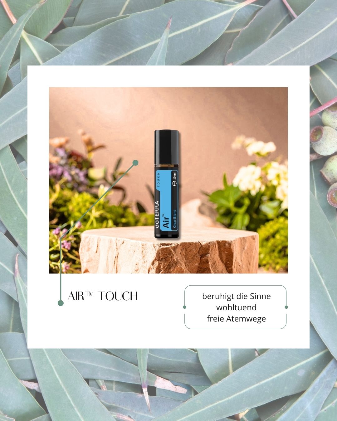 Air – Clear Mischung | Roll-On (doTERRA)