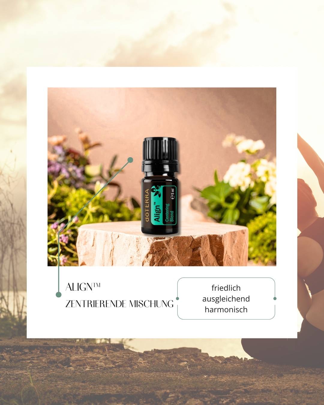 Align - zentrierende Mischung | ätherisches Öl (doTERRA)