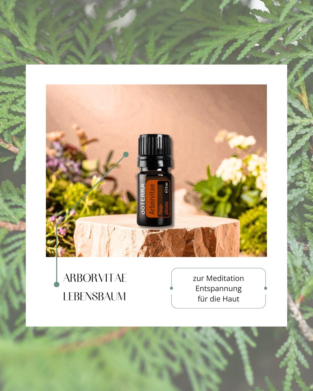 Arborvitae - Lebensbaum | ätherisches Öl (doTERRA)