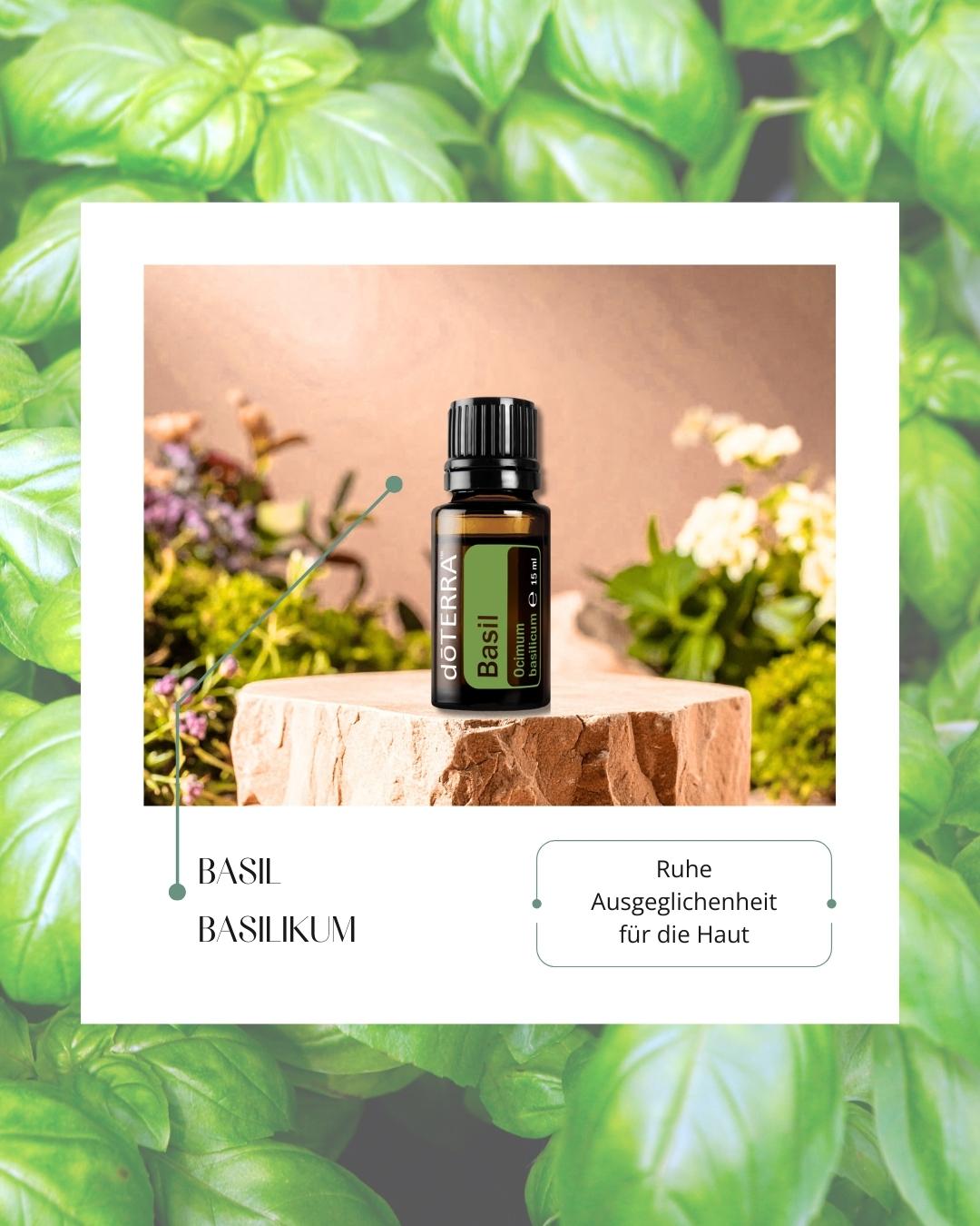 Basil - Basilikum | ätherisches Öl (doTERRA)