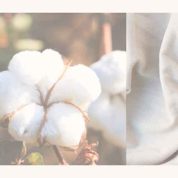 Hautfreundliche Waschmittel für Baumwolle, biologisch abbaubar