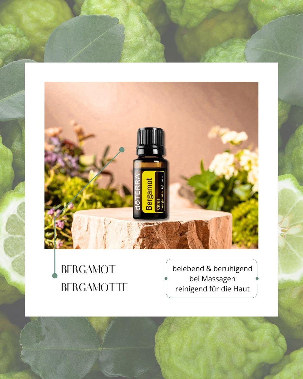 ätherisches Öl doTERRA - Bergamotte