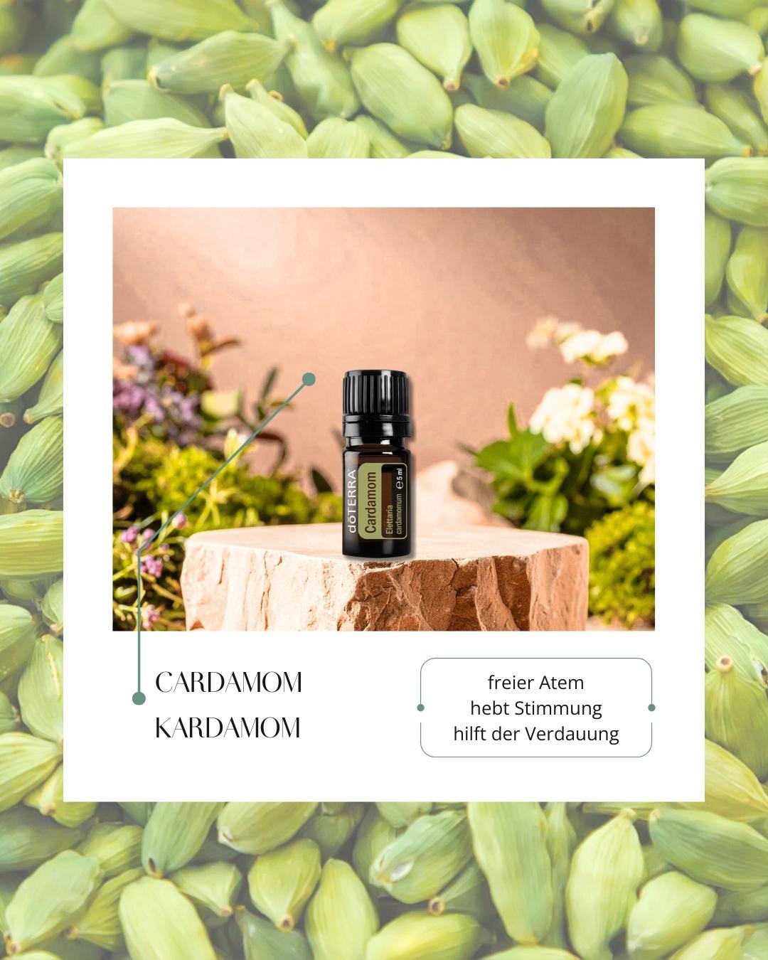 Cardamom - Kardamon | ätherisches Öl (doTERRA)