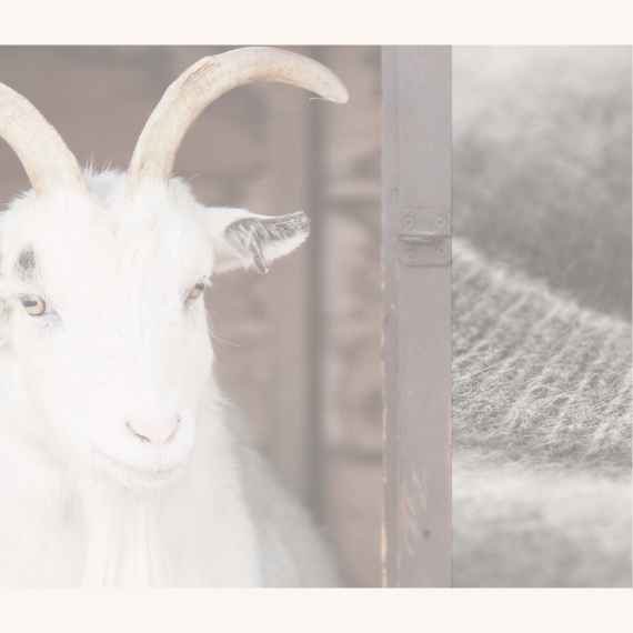 Hautfreundliche Waschmittel für Cashmere, biologisch abbaubar