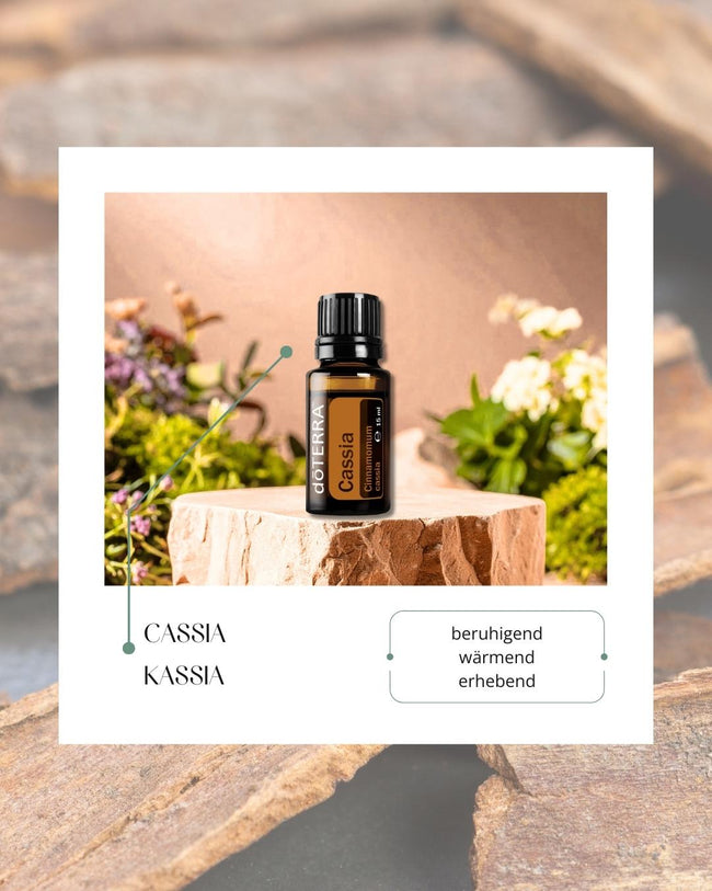 Cassia - Kassia | ätherisches Öl (doTERRA) Hover Image