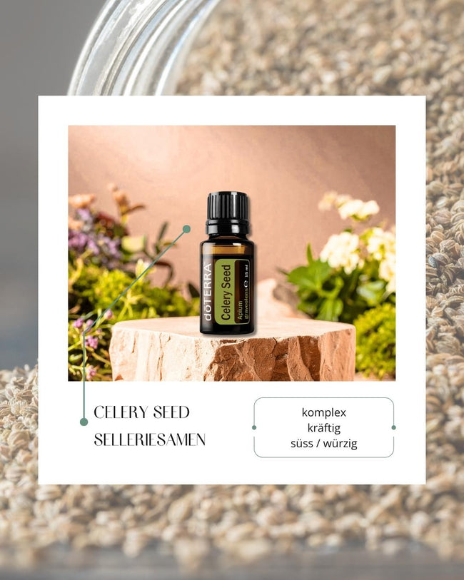 Celery Seed - Selleriesamen | ätherisches Öl (doTERRA) Hover Image