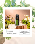 Cilantro - Korianderkraut | ätherisches Öl (doTERRA)