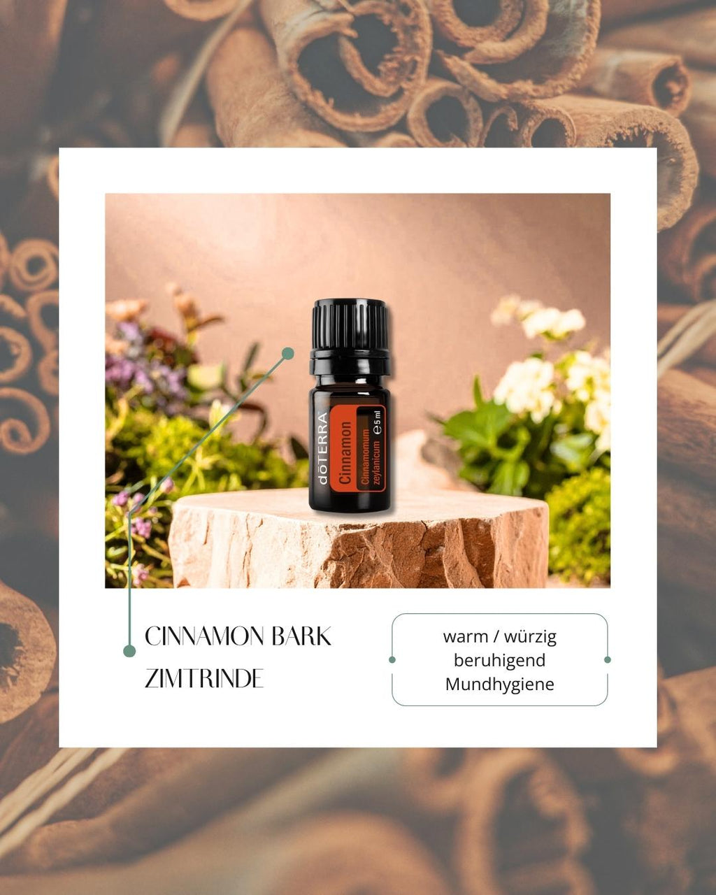 Cinnamon Bark - Zimtrinde | ätherisches Öl (doTERRA)