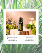 Citronella - Zitronella | ätherisches Öl (doTERRA)
