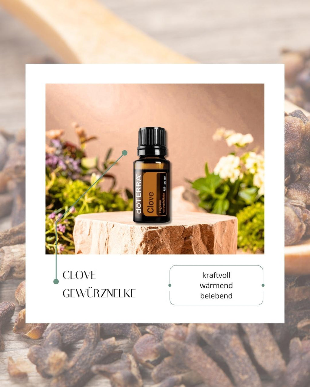Clove - Nelke | ätherisches Öl (doTERRA)