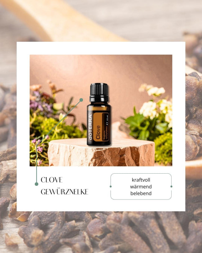Clove - Nelke | ätherisches Öl (doTERRA) Hover Image