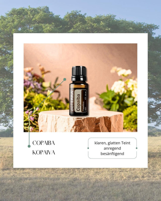 Copaiba - Kopaiva | ätherisches Öl (doTERRA) Hover Image