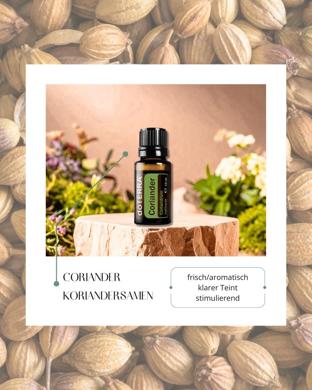 Coriander - Koriandersamen | ätherisches Öl (doTERRA)
