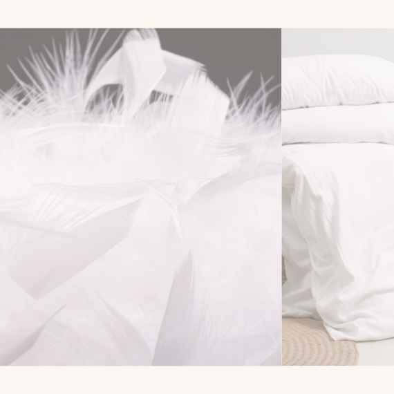 Hautfreundliche Waschmittel für Daunen, biologisch abbaubar