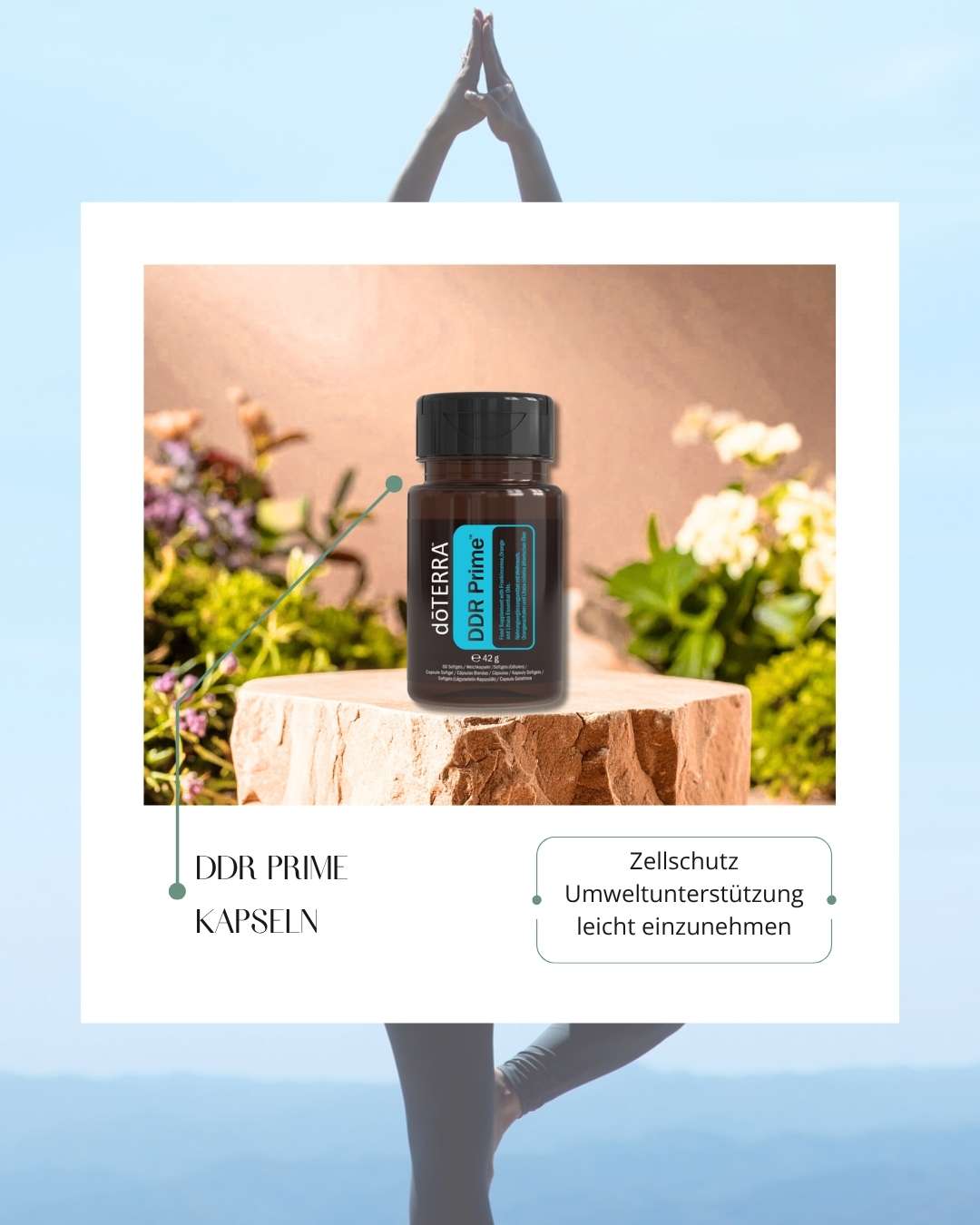 DDR Prime Softgels | Nahrungsergänzung (doTERRA)