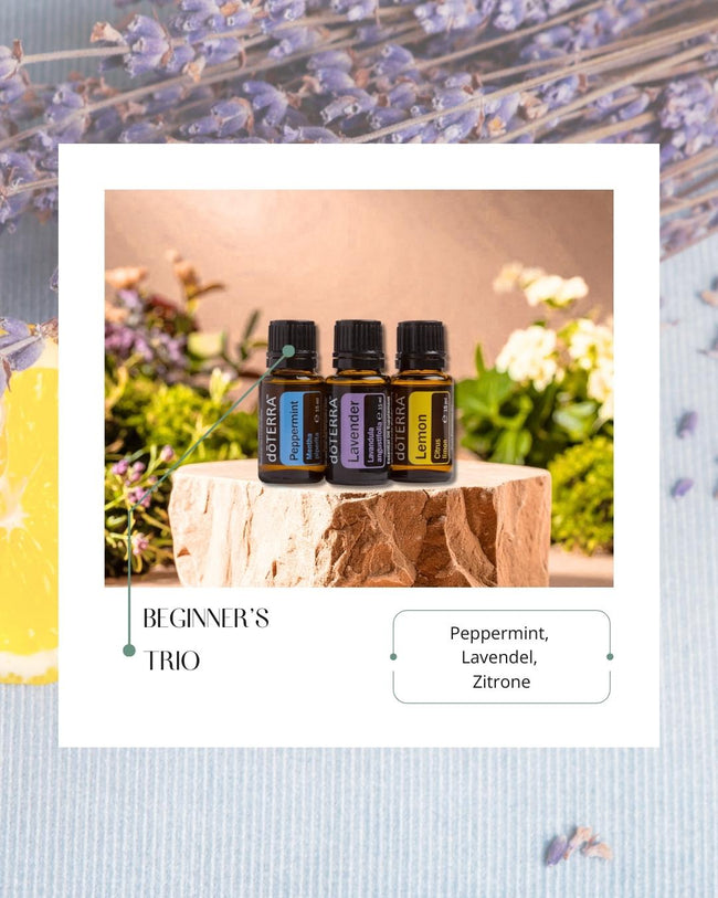 Beginner's Trio | ätherische Öle (doTERRA) Hover Image