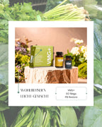 Wohlbefinden leicht gemacht | Bundle (doTERRA)