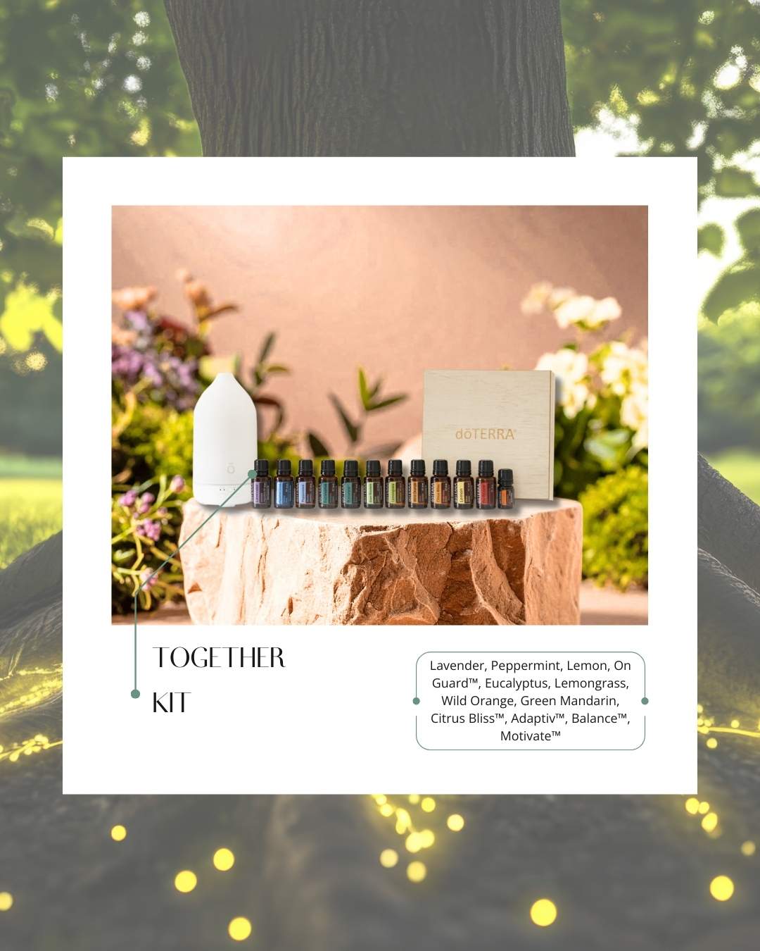 together™ Kit | ätherische Öle (doTERRA)
