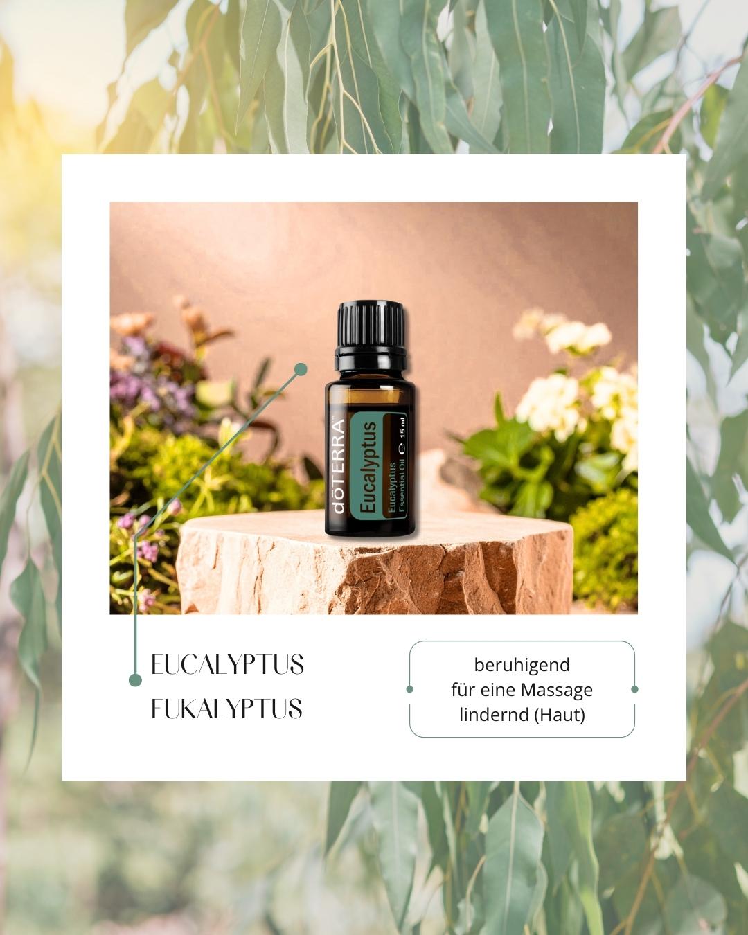 Eucalyptus | ätherisches Öl (doTERRA)