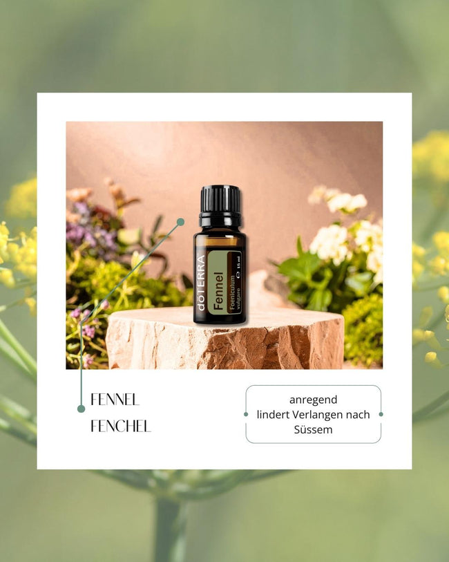 Fennel - Fenchel | ätherisches Öl (doTERRA) Hover Image