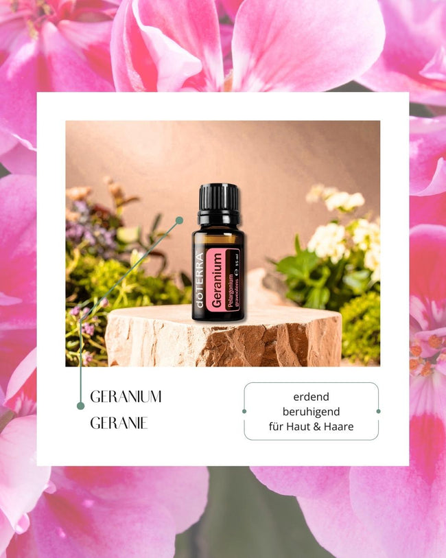 Geranium - Geranie | ätherisches Öl (doTERRA) Hover Image