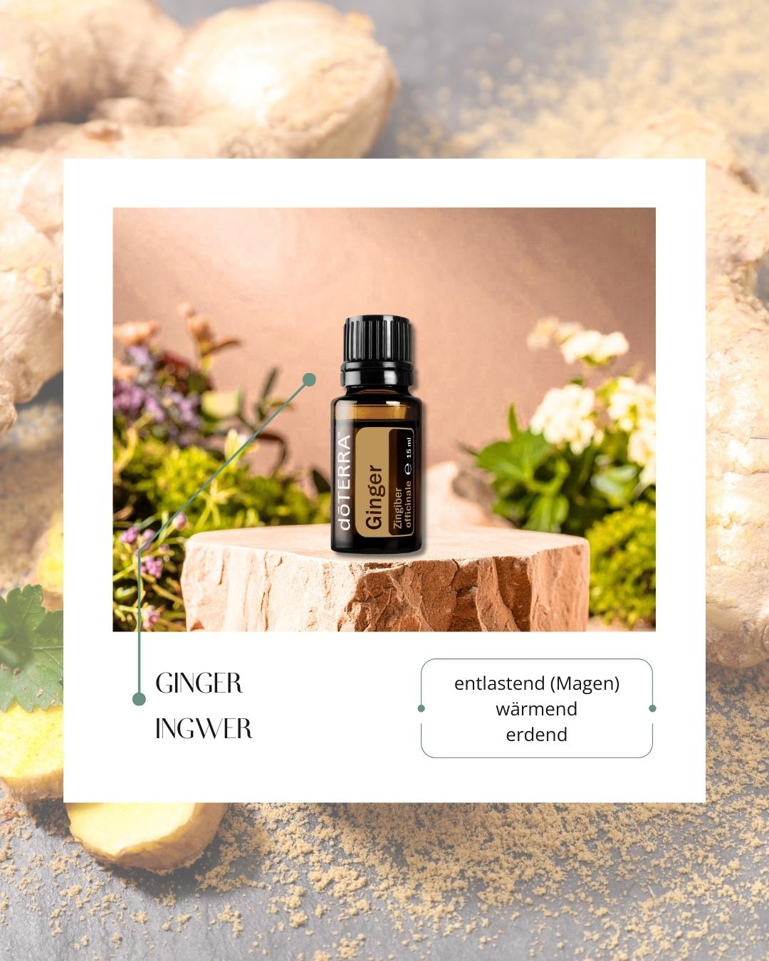 Ginger - Ingwer | ätherisches Öl (doTERRA)