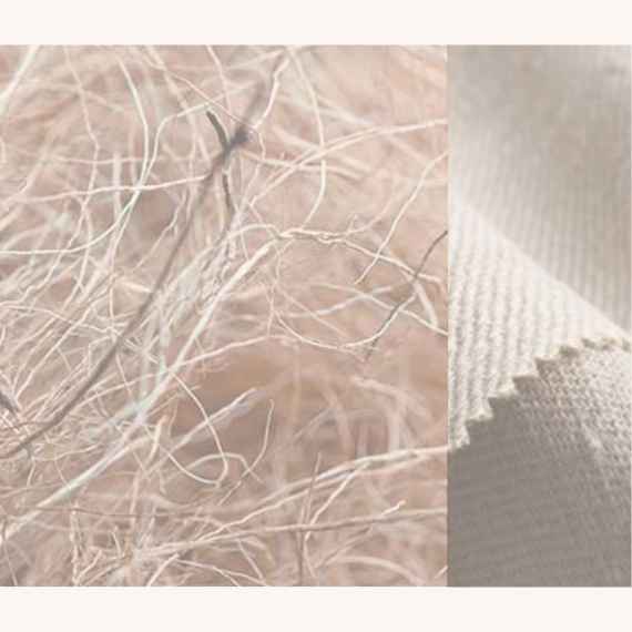 Hautfreundliche Waschmittel für Hanf, biologisch abbaubar