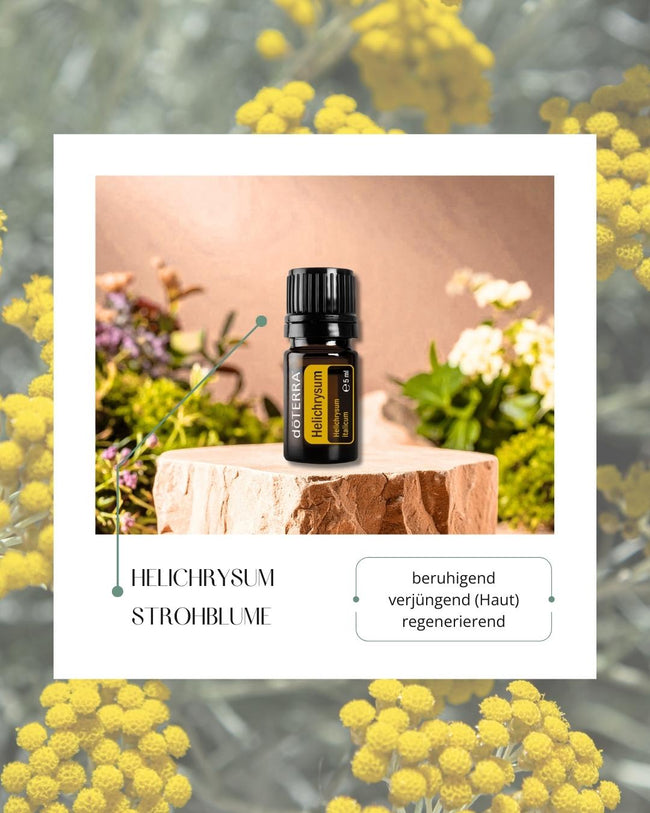 Helichrysum - Strohblume | ätherisches Öl (doTERRA) Hover Image