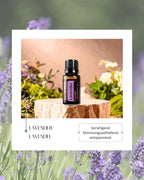 Lavender - Lavendel | ätherisches Öl (doTERRA)
