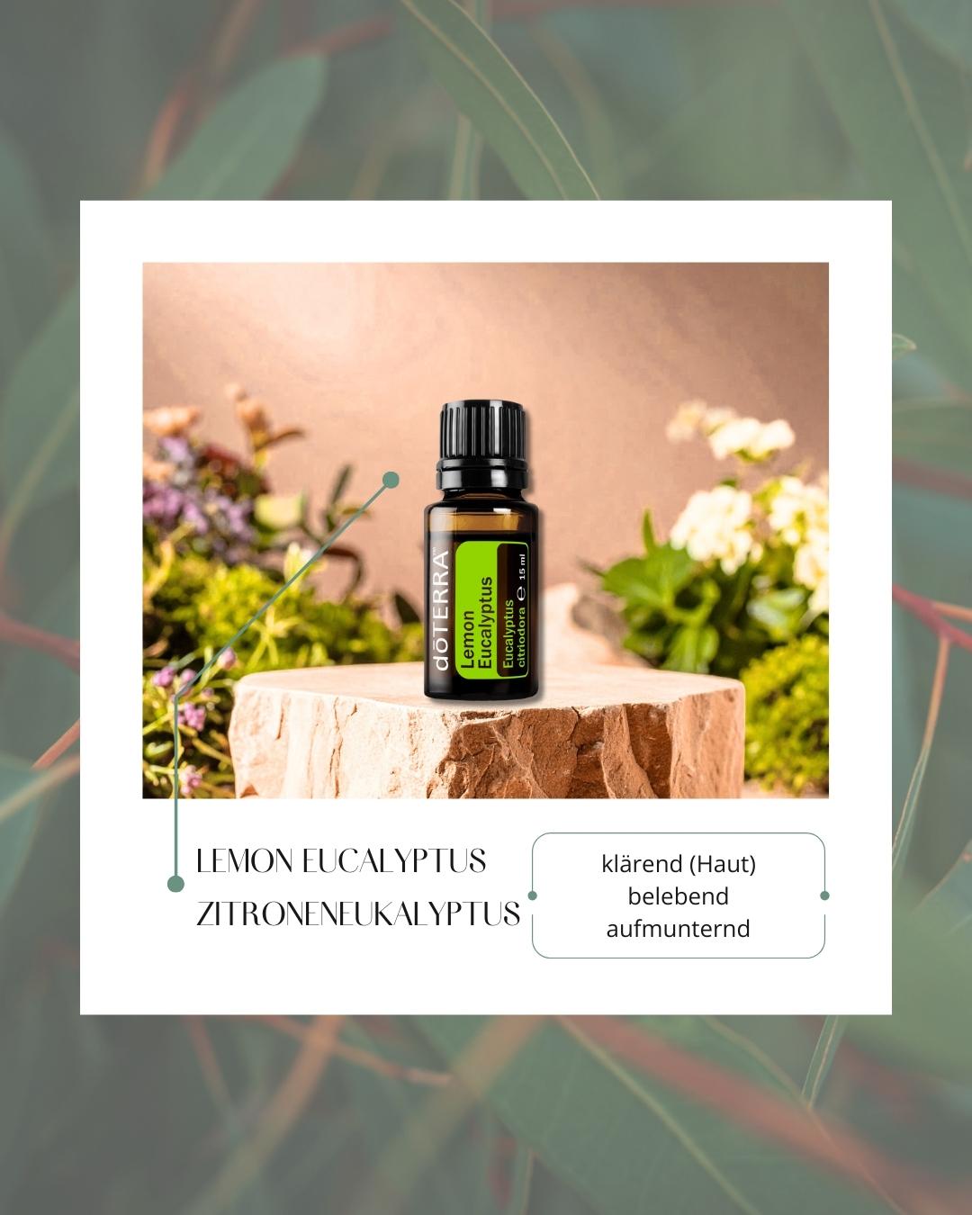 Lemon Eucalyptus - Zitroneneukalyptus | ätherisches Öl (doTERRA)