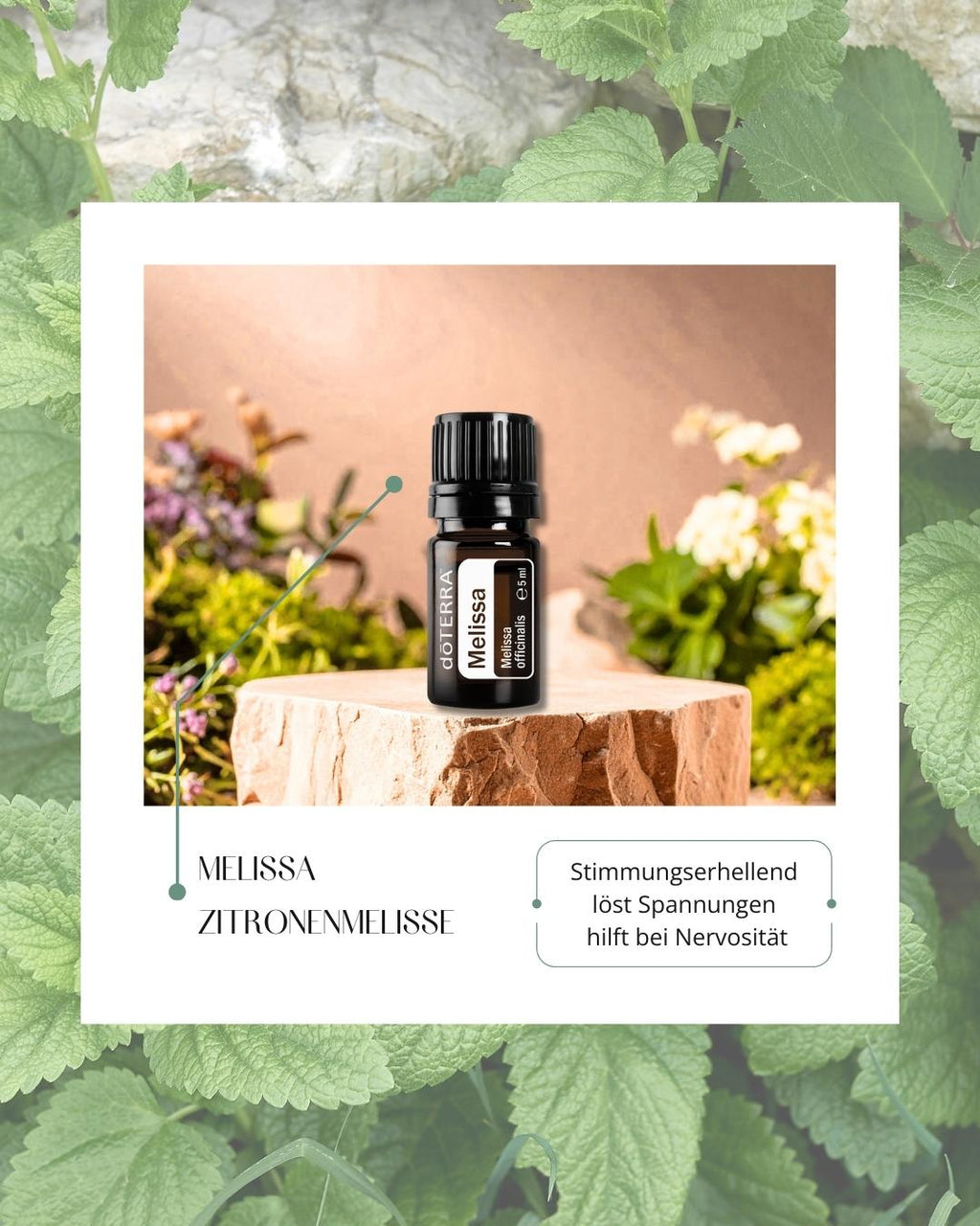 Melissa - Melisse | ätherisches Öl (doTERRA)