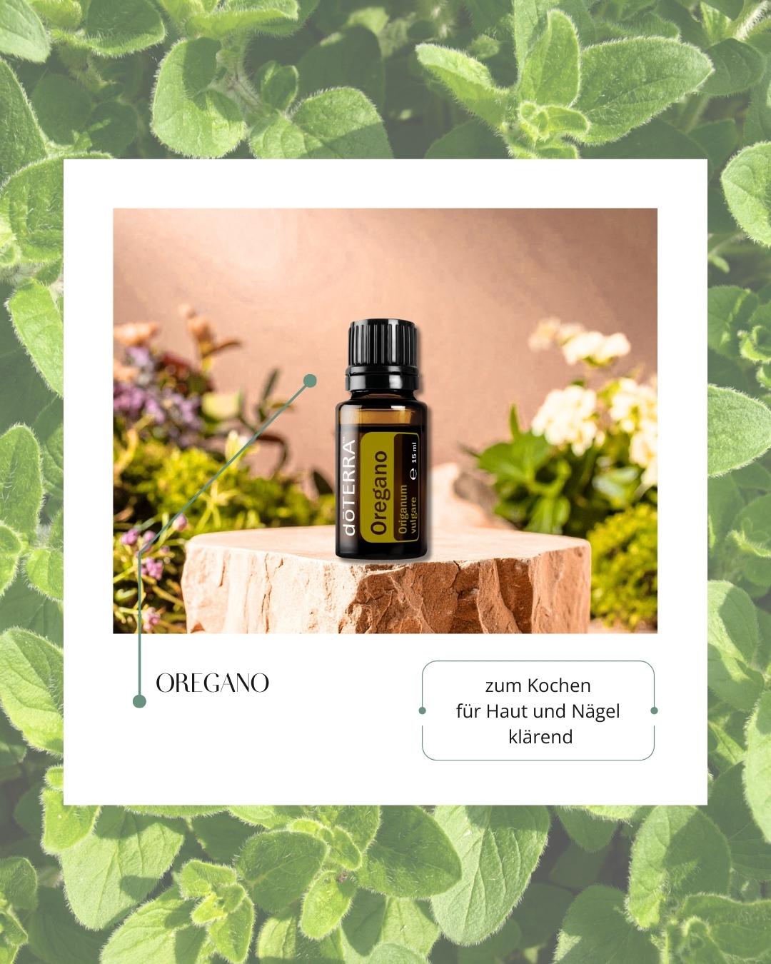 Oregano | ätherisches Öl (doTERRA)