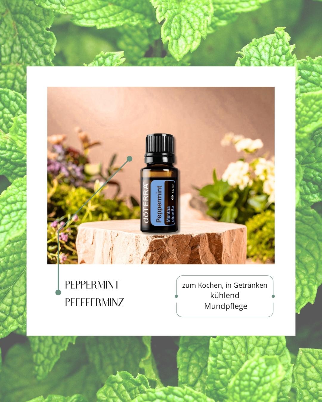 Peppermint - Pfefferminz | ätherisches Öl (doTERRA)