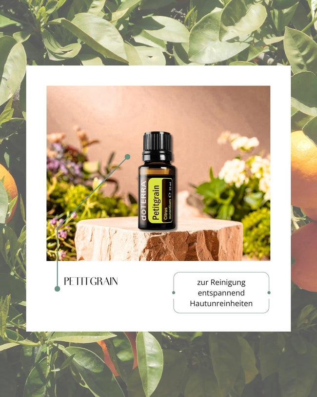 Petitgrain | ätherisches Öl (doTERRA) Hover Image