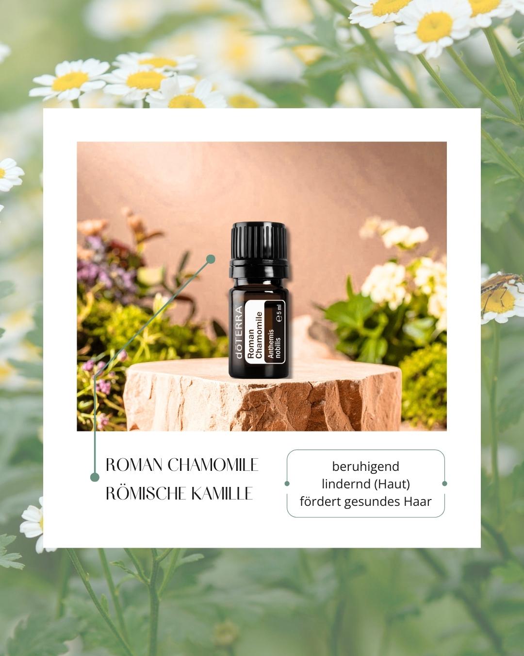 Roman Chamomile - Römische Kamille | ätherisches Öl (doTERRA)