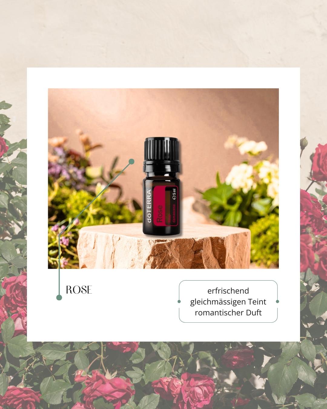 Rose | ätherisches Öl (doTERRA)