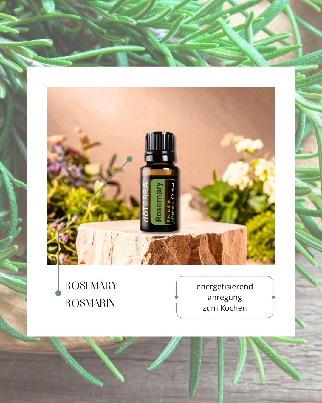 Rosemary - Rosmarin | ätherisches Öl (doTERRA)