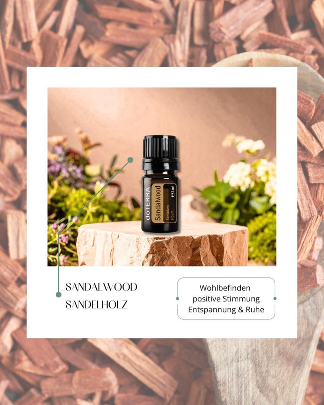 Sandalwood - Sandelholz | ätherisches Öl (doTERRA) Hover Image
