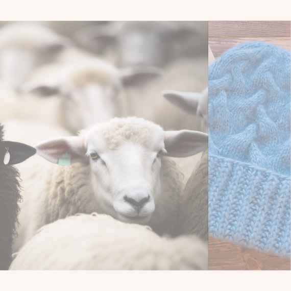 Hautfreundliche Waschmittel für Wolle, biologisch abbaubar