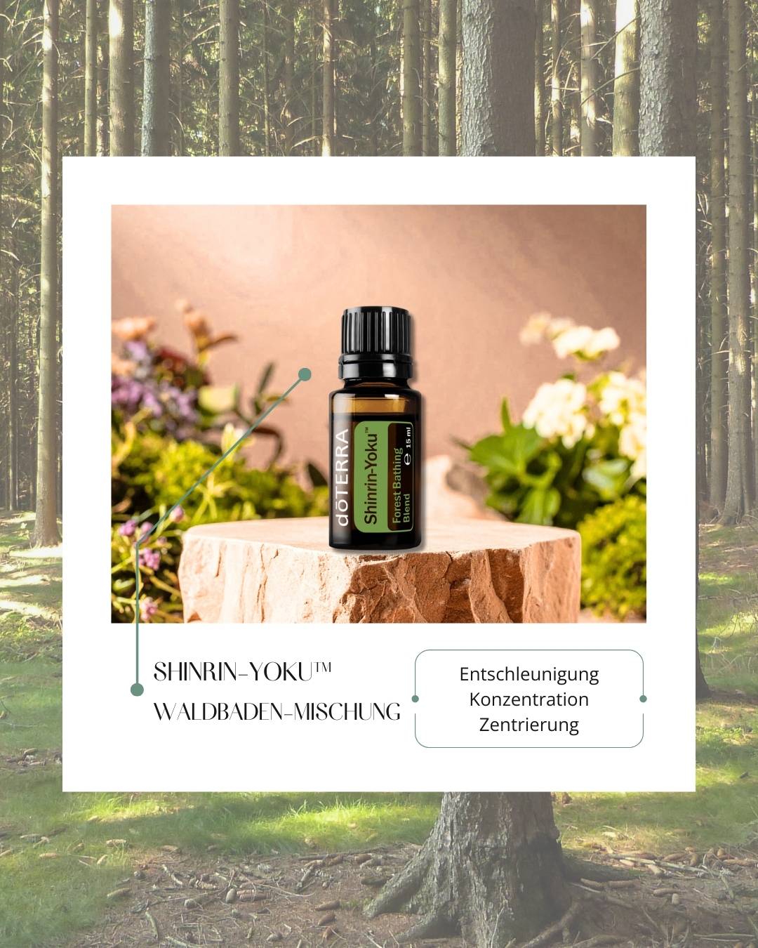 Shinrin-Yoku™ - Waldbaden-Mischung | ätherisches Öl (doTERRA)