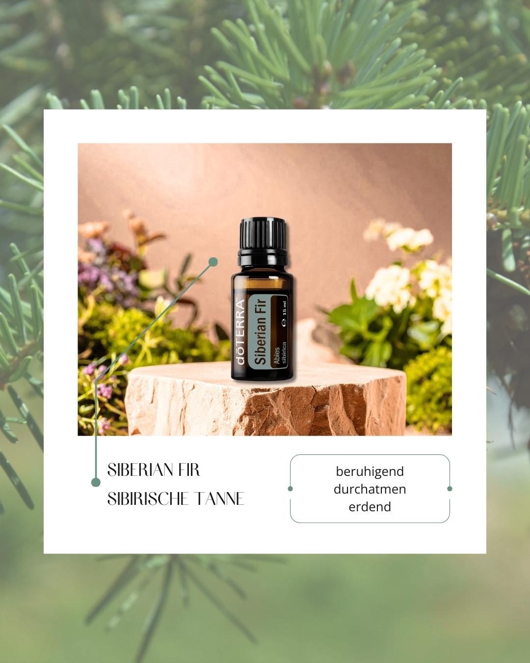 Siberian Fir - Sibirische Fichte | ätherisches Öl (doTERRA)