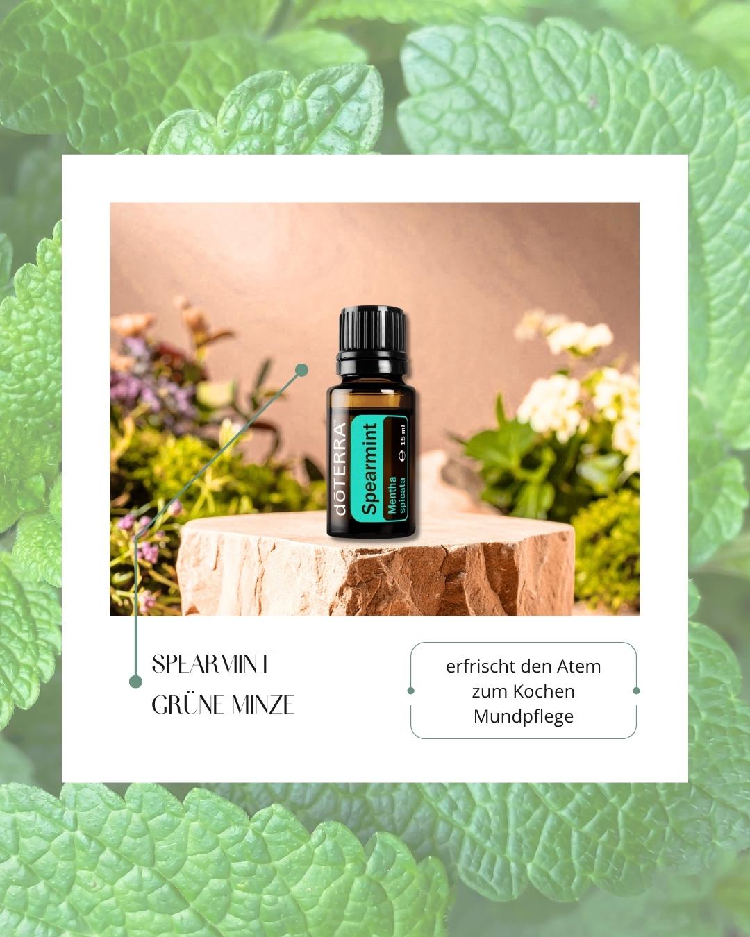 Spearmint - grüne Minze | ätherisches Öl (doTERRA)